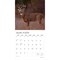 Monster Bucks | 2026 12 x 24 Inch (Hanging) Monthly Square Wall Calendar | Foil Stamped Cover